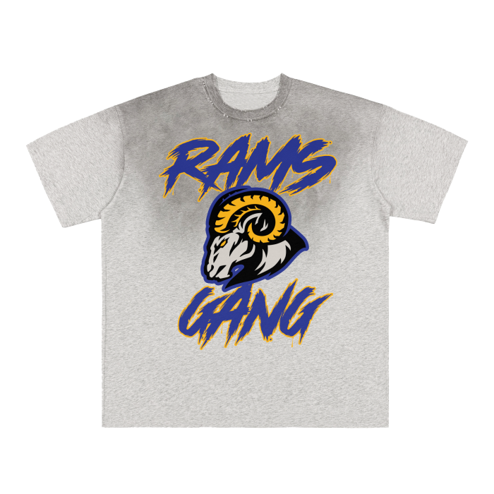 DG " Rams Gang " vintage Washed Upper Body Grey Gradient on Aged Frayed T-Shirt