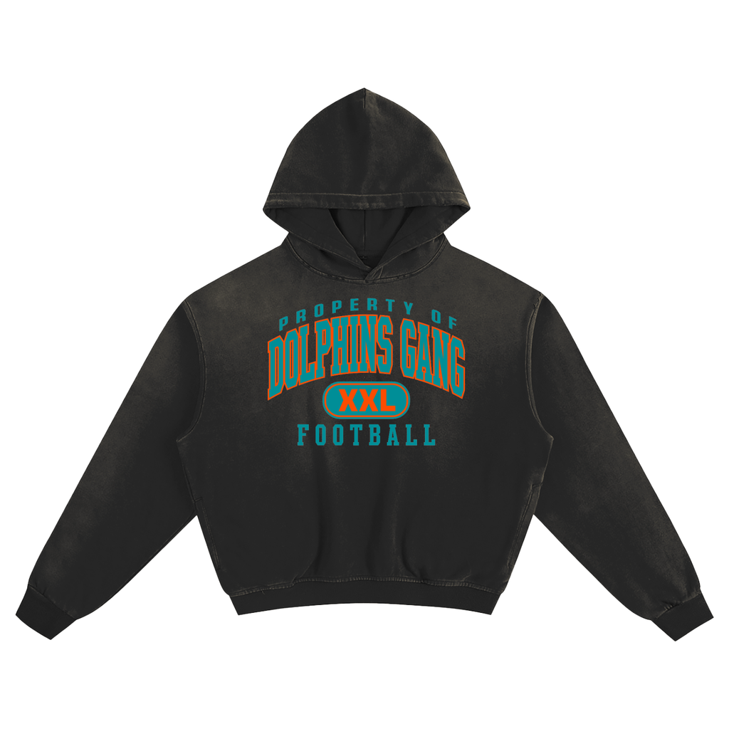 DG " Double XL Dolphin Gang " Sunfade Boxy Hoodie