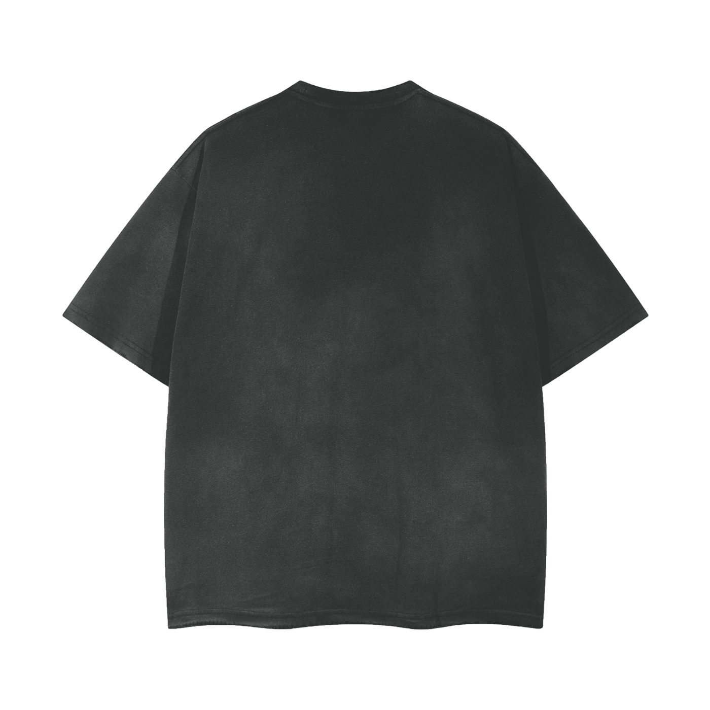 DG " 1972 Champion " Acid Wash Crew Neck T-Shirt