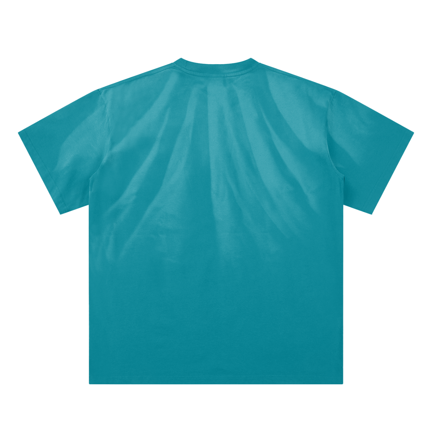 DG " Original Dolphins " Auqa Hand-Scrunched Sunfade T-Shirt